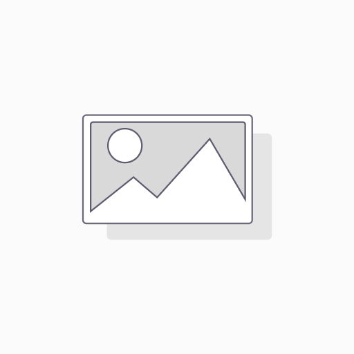 [NUP308] CYLINDRICAL ROLLER NUP308